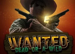 Wanted Dead or a Wild